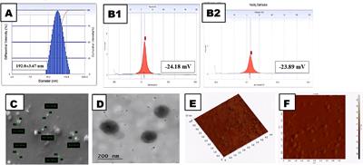 Unveiling the therapeutic potential of cabozantinib-loaded poly D,L-lactic-co-glycolic acid and polysarcosine nanoparticles in inducing apoptosis and cytotoxicity in human HepG2 hepatocellular carcinoma cell lines and in vivo anti-tumor activity in SCID female mice